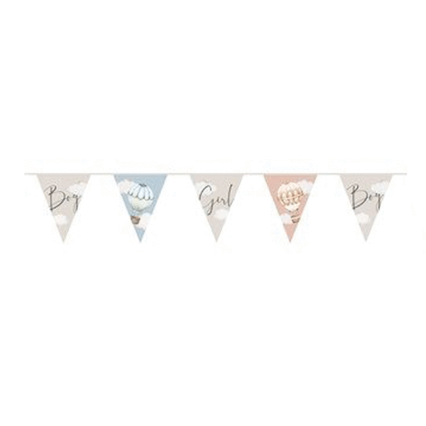 Vlaggenlijn Baby Luchtballonnen Gender Reveal