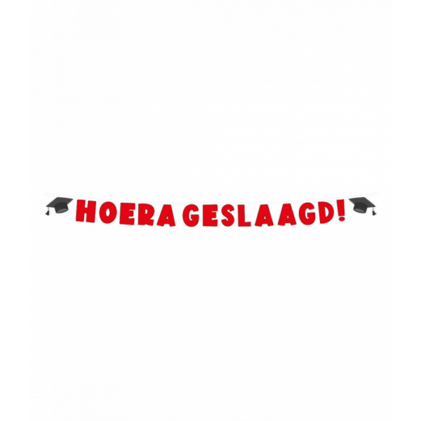 Letter banner - Geslaagd school