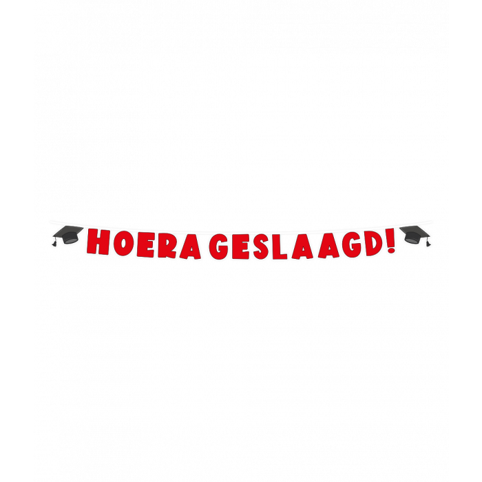Letter banner - Geslaagd school