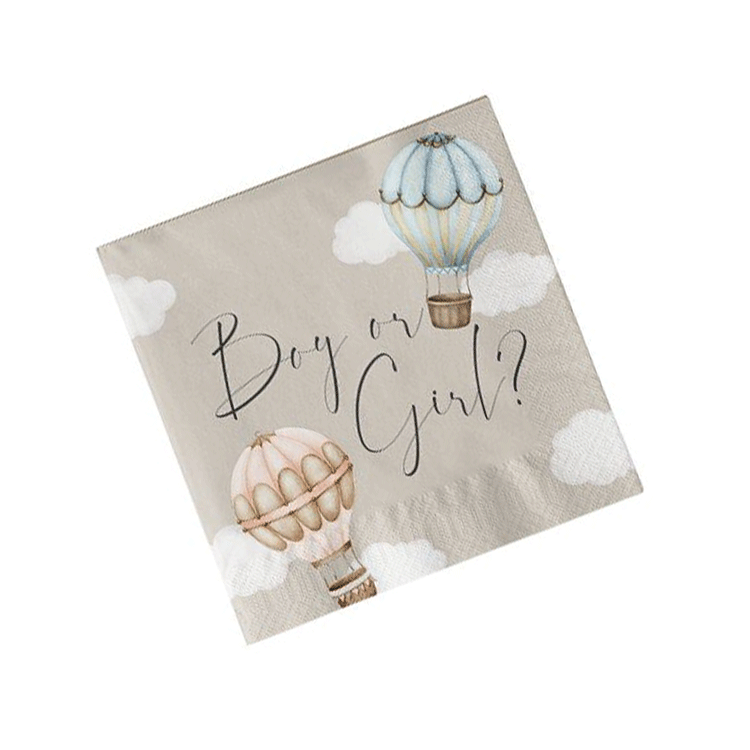 Servetten Baby Luchtballonnen Gender Reveal