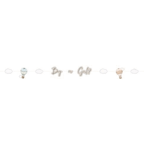 Letterslinger Baby luchtballonnen Gender Reveal