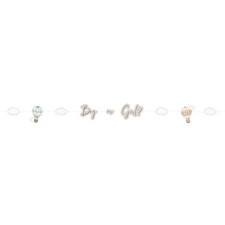 Letterslinger Baby luchtballonnen Gender Reveal